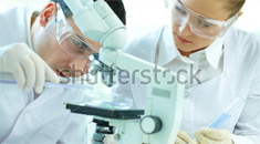 Comunidade Técnica e Científica